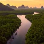 chrome river vt 软件图标