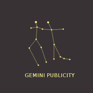 gemini api 软件图标