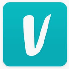 vinted电脑版下载Windows版版本 软件图标