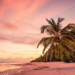 biscayne - sunrise at paradise beach 软件图标
