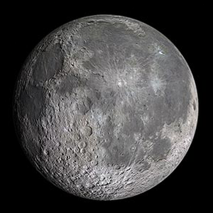 the moon the sun and you原文 软件图标