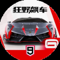 巨型坡道赛车特技 软件图标