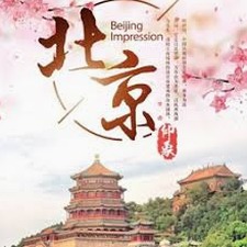 旅游下载什么app好国内 软件图标