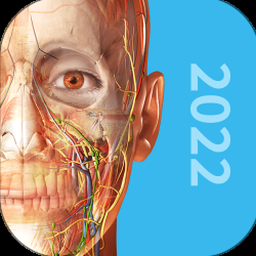 人体内脏3d解剖下载免费版 软件图标