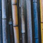 bamboo insurance 软件图标