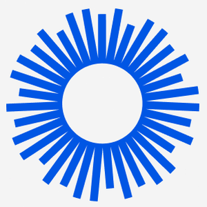 bemyeyes app 软件图标