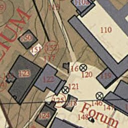bibulus roman 软件图标