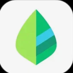 billeslook公司 软件图标
