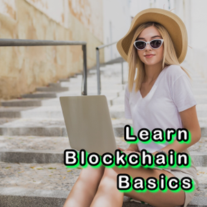 blockchain capital 软件图标