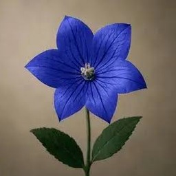 blue 软件图标