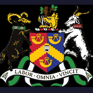 bnp paribas logo 软件图标