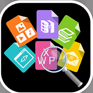 cardfive vision professional 软件图标