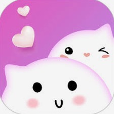 cd 下载 到 电脑 软件图标
