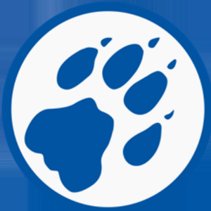 cheetah mobile 软件图标