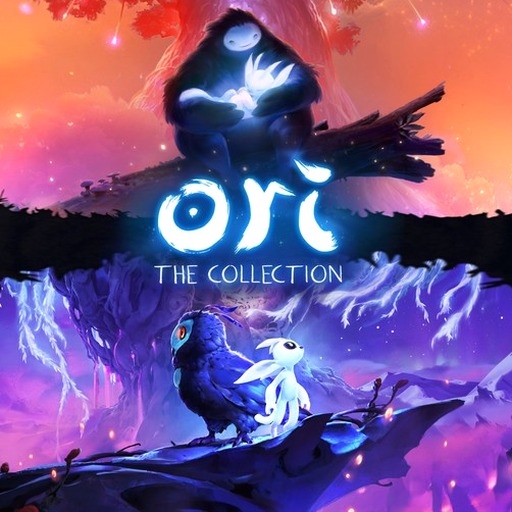 collections 中文 软件图标