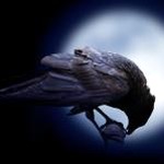 crow5 软件图标