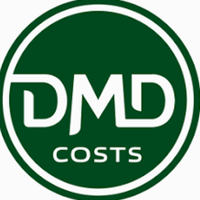 dmde数据恢复软件官网2025PC版 软件图标