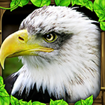 eagle2fa身份验证器 软件图标