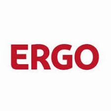 ergo 软件图标