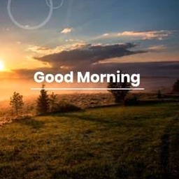 good morning beautiful day 软件图标