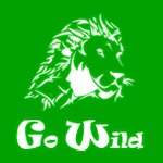 gowild pass frontier 软件图标