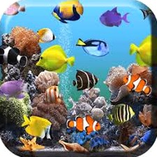 水族馆动态壁纸 喂鱼 软件图标