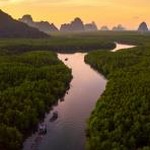 oldroll 推荐 软件图标