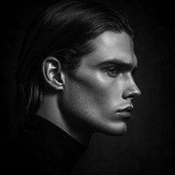 portraiture 软件图标