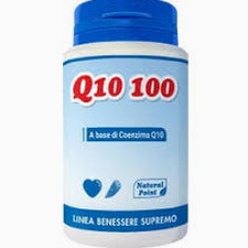q10 costco 软件图标