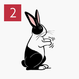 rabbit hole安卓 软件图标
