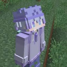 skin 3d mod 软件图标