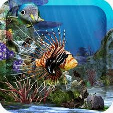 水族馆动态壁纸 喂鱼汉化版手机 软件图标