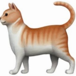cat catch (猫抓) 软件图标